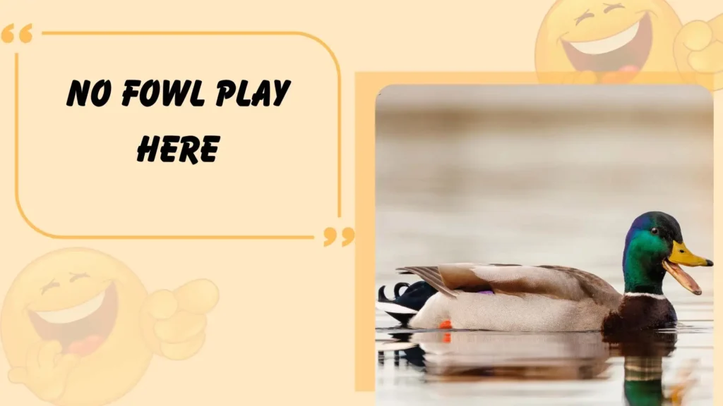 Best Duck Puns for Instagram Captions