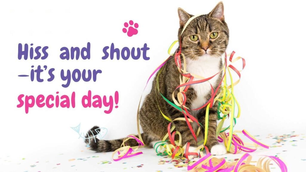 Cat Puns for Birthday Wishes