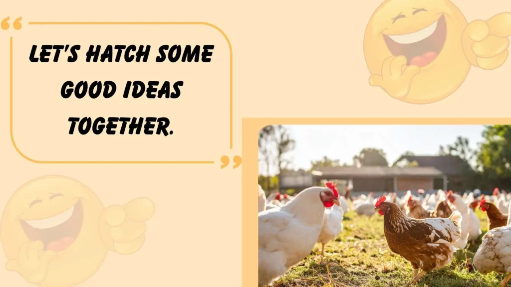 Chickens for Everyday Fun