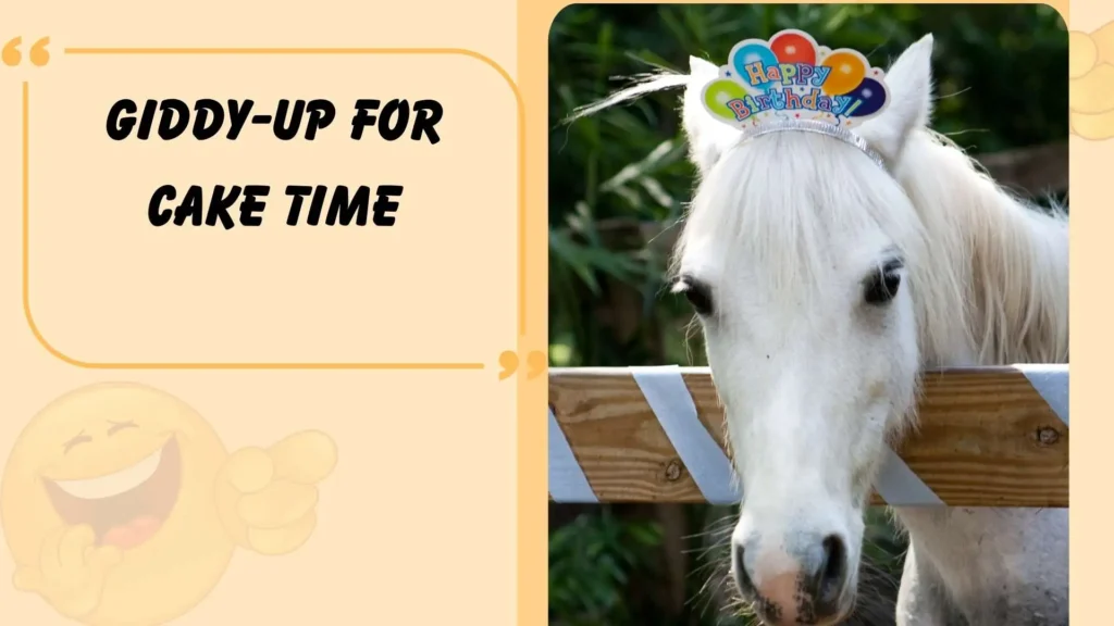  Clever Horse Puns for Birthday Cards 
