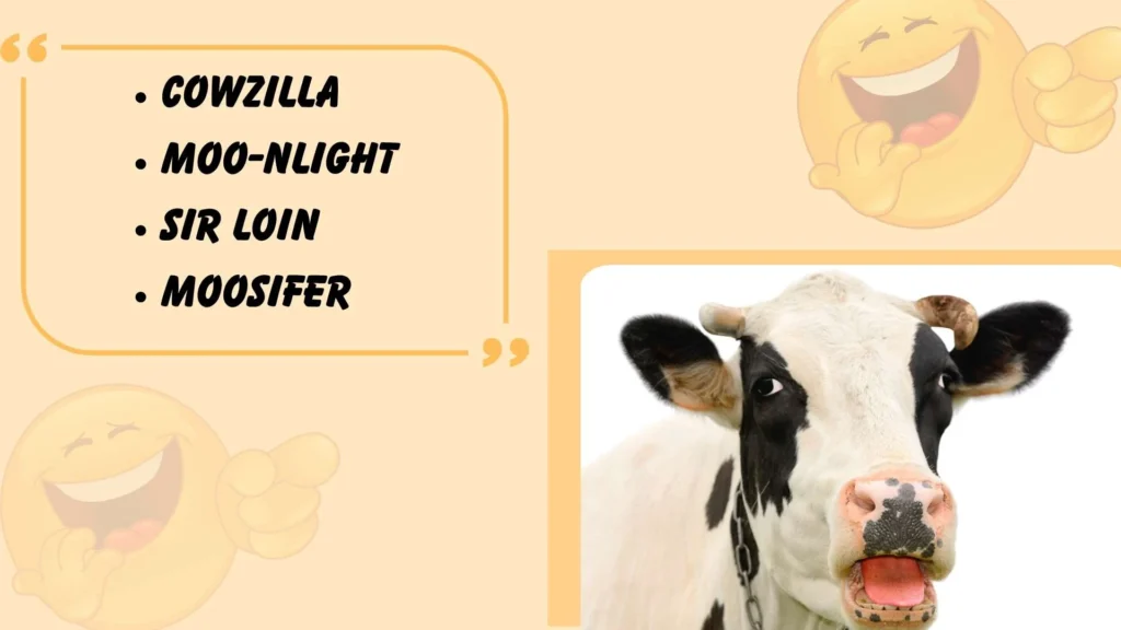 Cow Puns Name