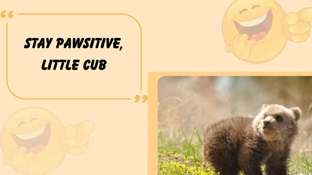 cute bear puns
