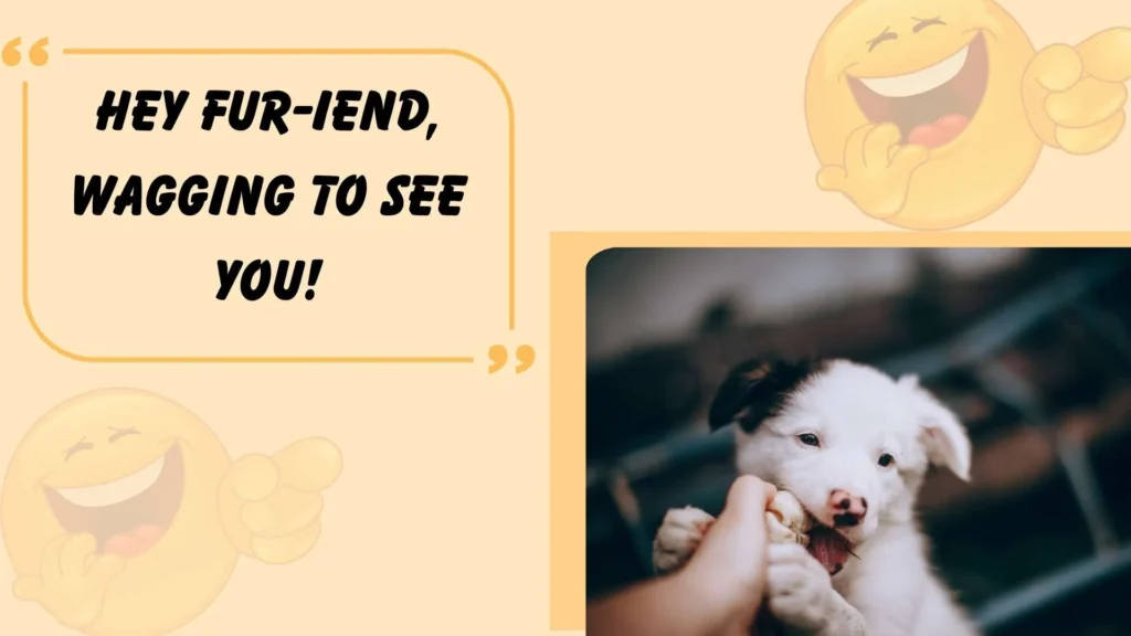 Dog Greeting Puns