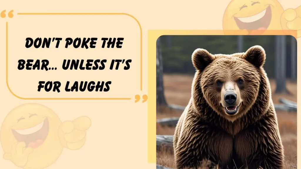 Funny Bear Puns for Jokes and Laughs