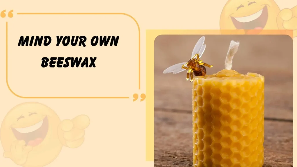 Funny Bee Puns for Instagram Captions