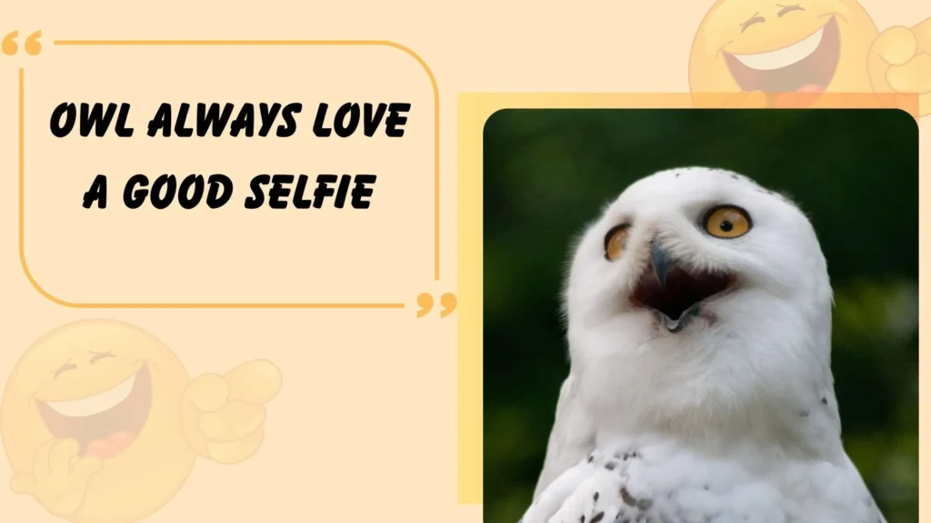 Funny Bird Puns for Instagram Captions