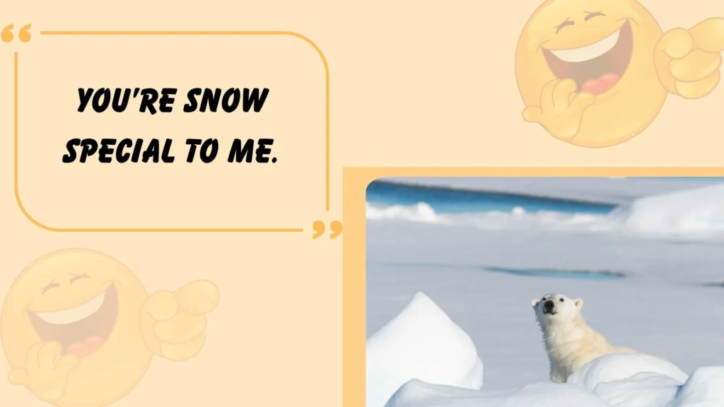 Polar Bear Puns