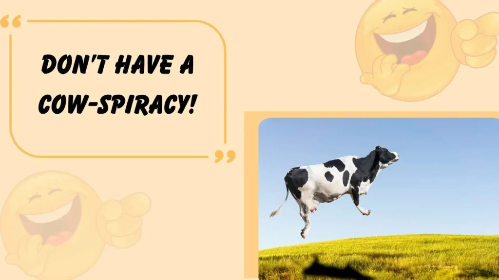 Short Funny Cow Puns