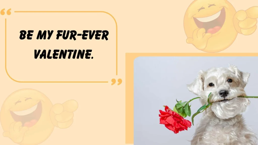 Valentines Dog Puns
