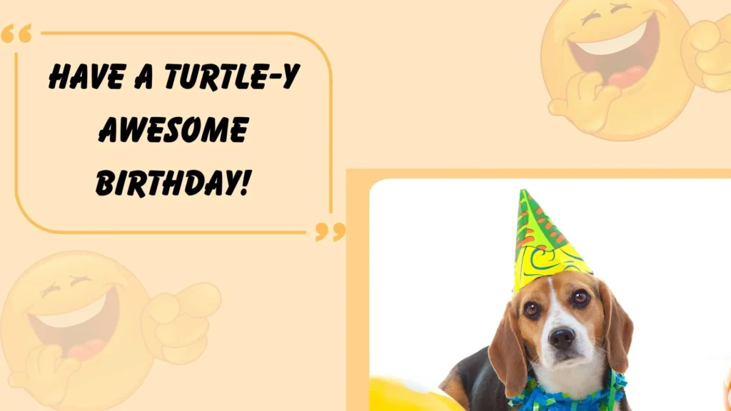 Animal Puns for Birthday and Party Fun