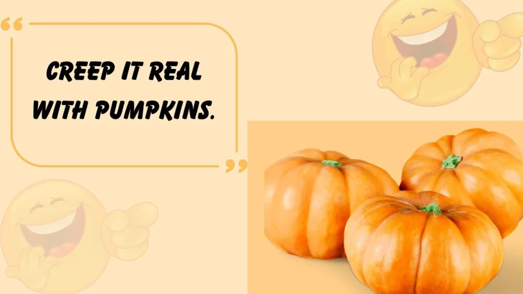 Best Pumpkin Puns for Halloween