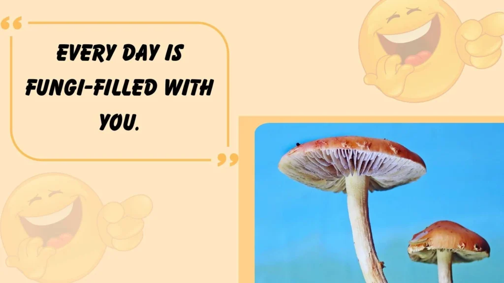 Fungi Mushroom Puns