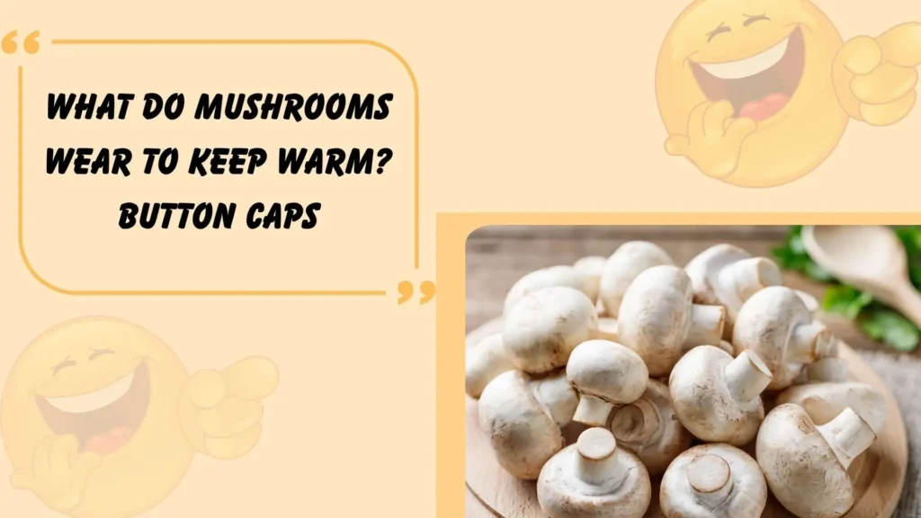 Mushroom Puns for Kids