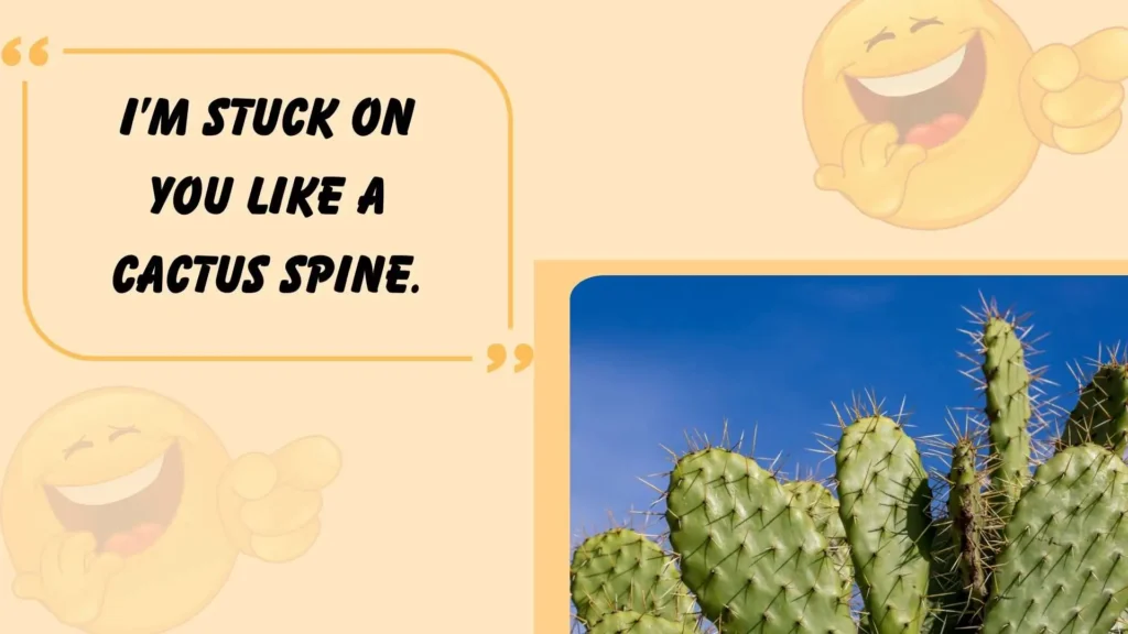  Succulent Plant Puns