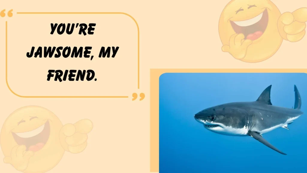 Cute Shark Puns