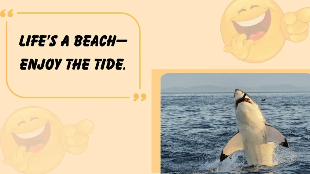 Shark Puns for Beach Lovers