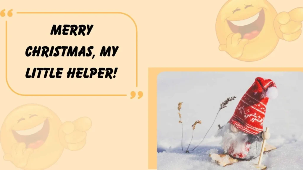 Christmas Gnome Puns for the Holidays