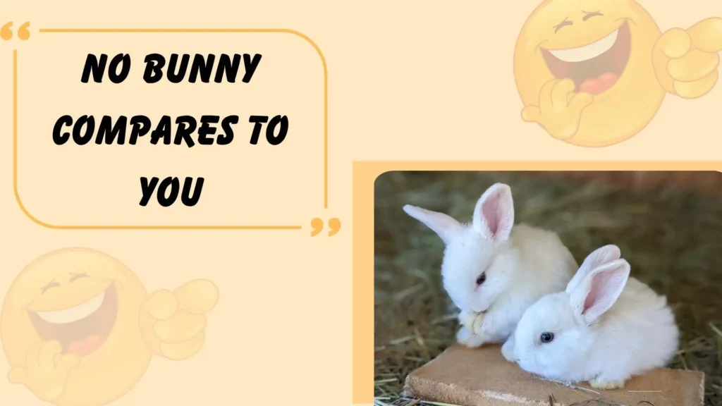 Funny Bunny Puns for Instagram Captions