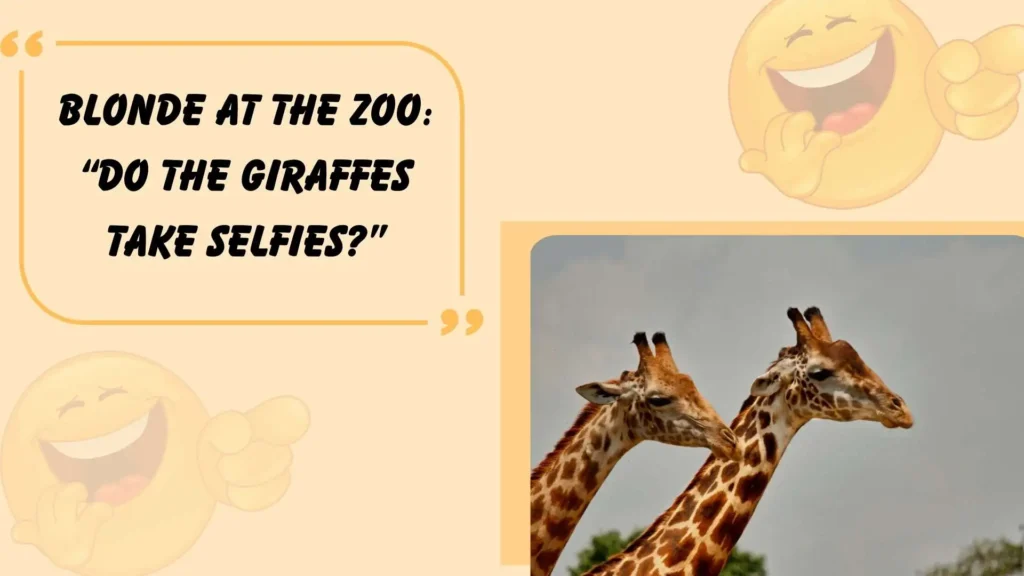 blonde jokes