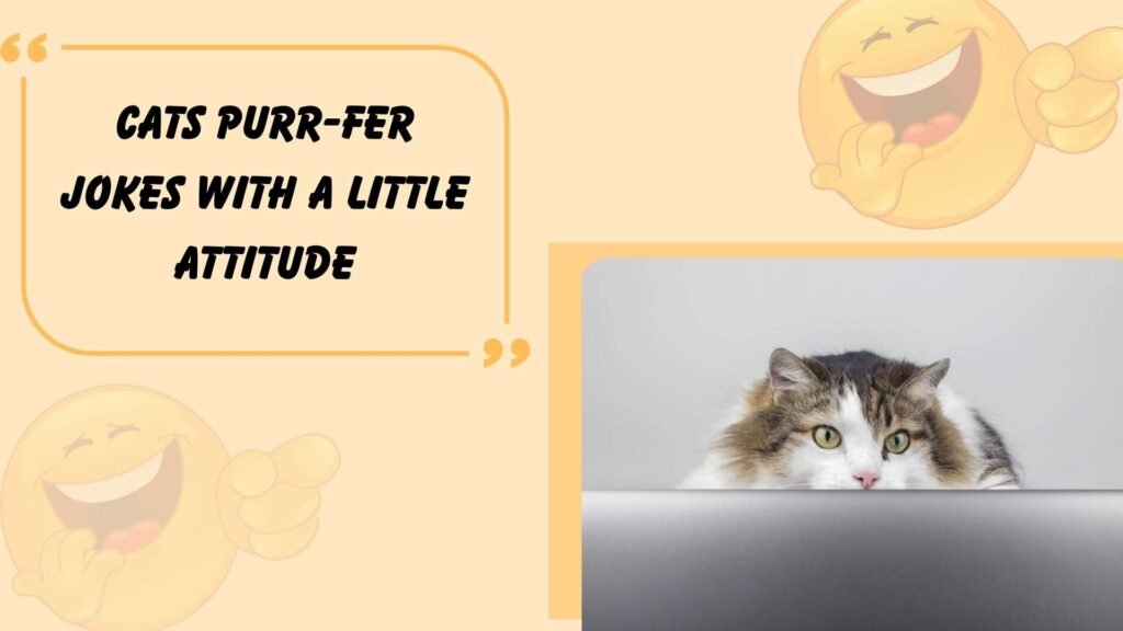  Funny Animal Jokes Everyone Loves