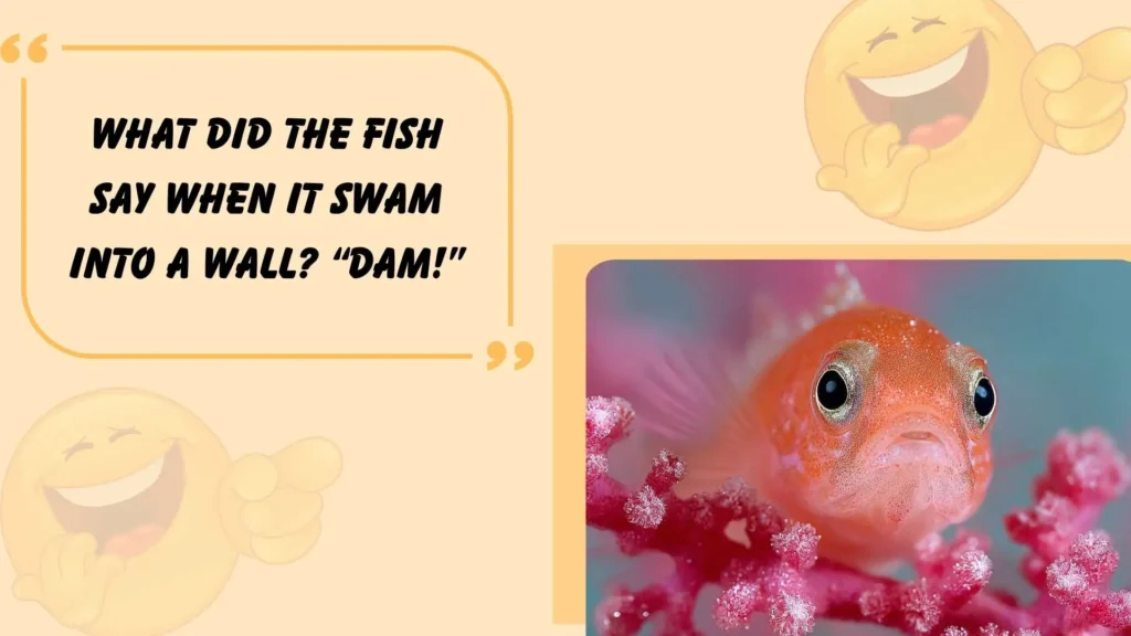 Funny Fish Jokes 