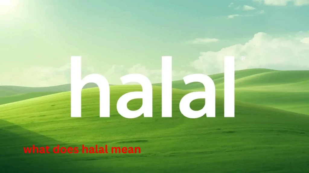 what does halal mean