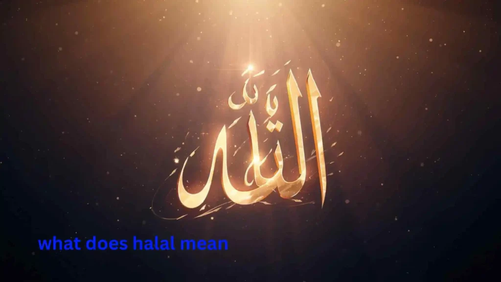 what does halal mean