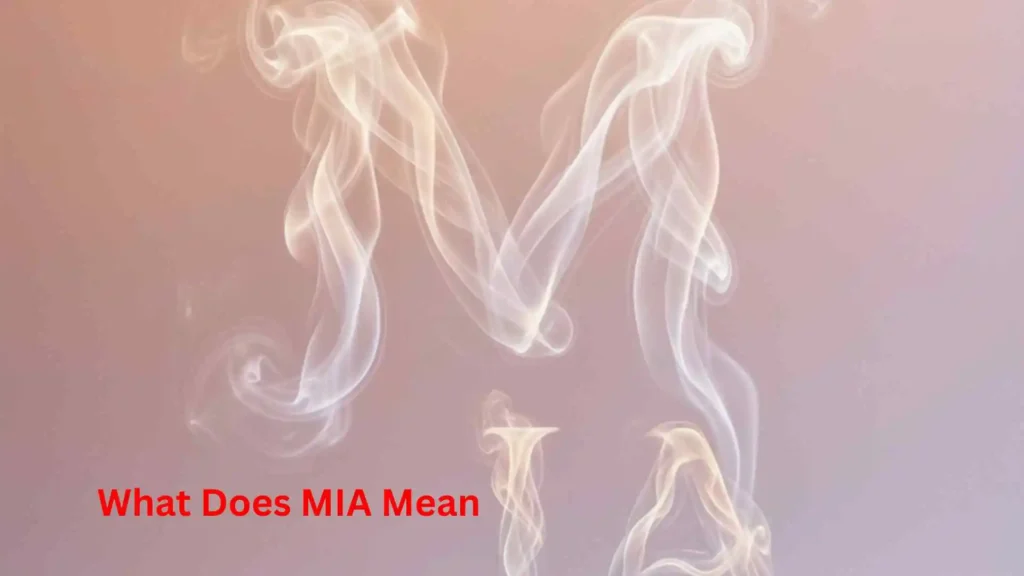 What Does MIA Mean 