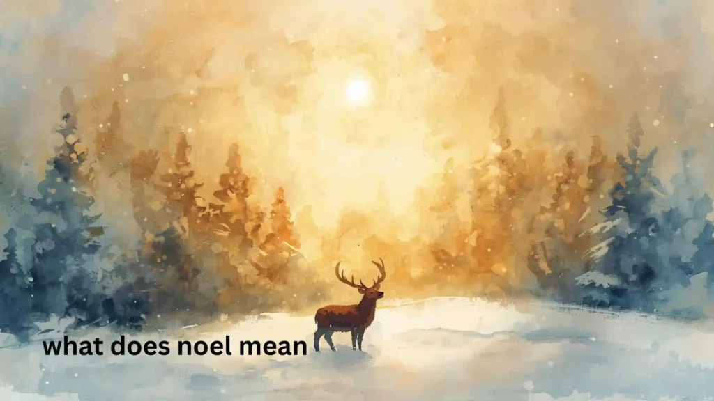 what does noel mean