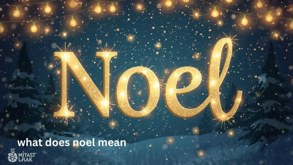 what does noel mean