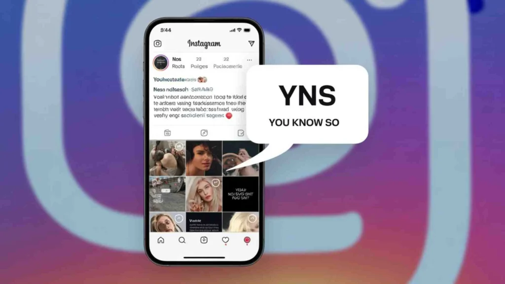 YNS In Music And Pop Culture