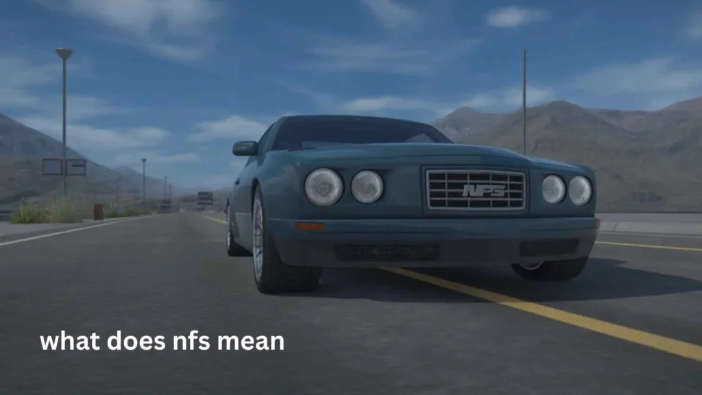 what does nfs mean