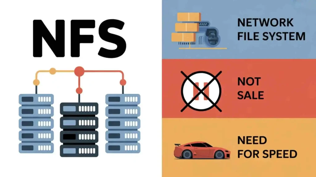 what does nfs mean