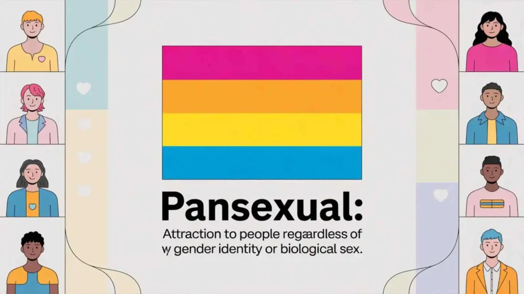 what does pansexual mean