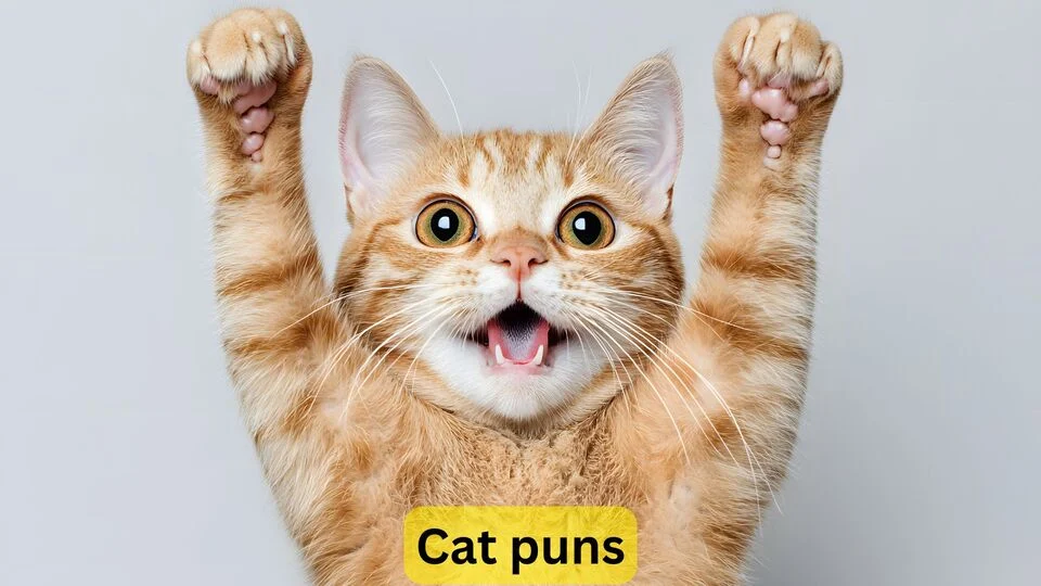 Cat Puns | 498 So Claw-Ver They’ll Scratch Your Funny Bone in 2025