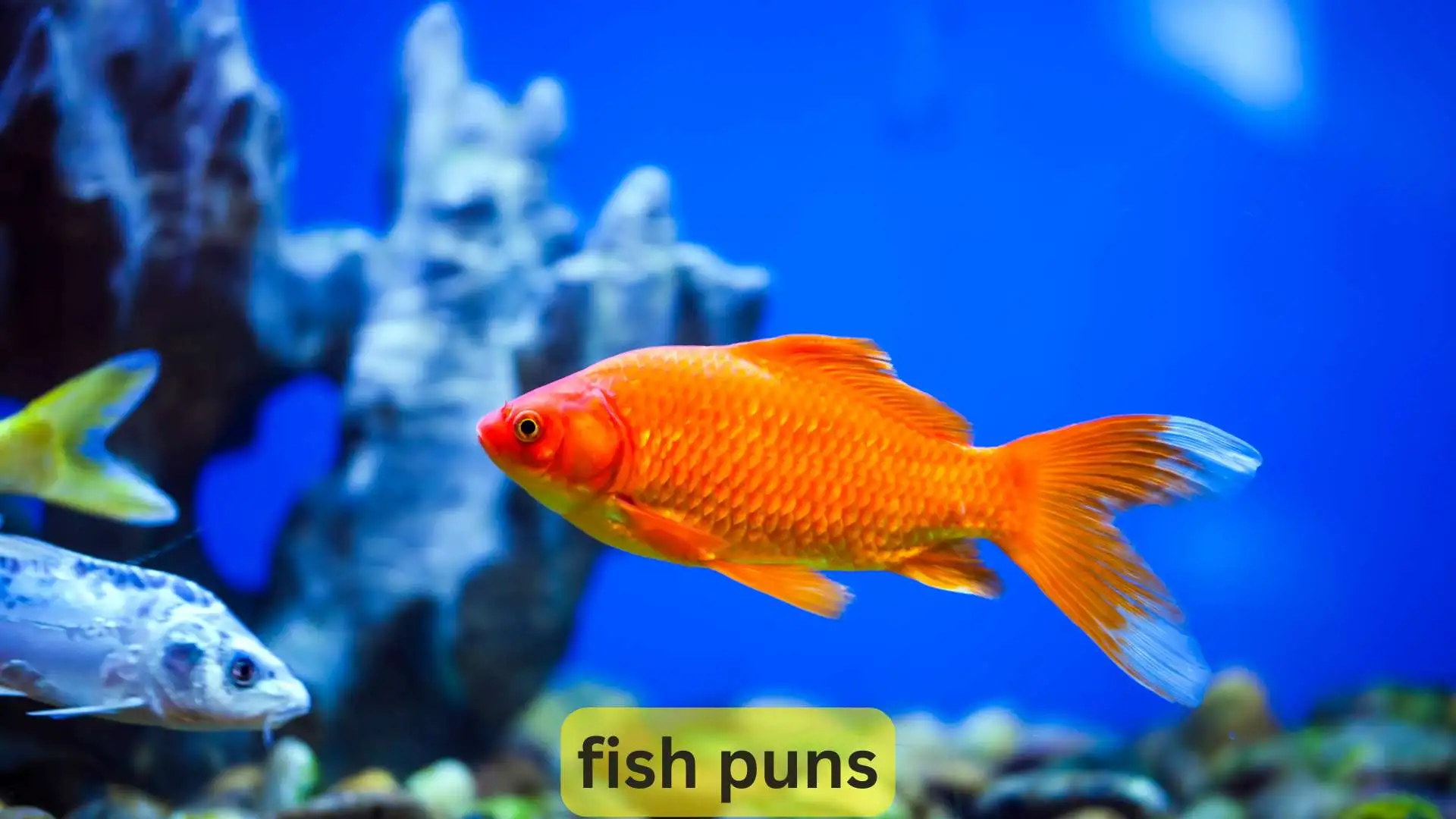 Fish Puns | 315 That’ll Reel You In with Laughter in 2025