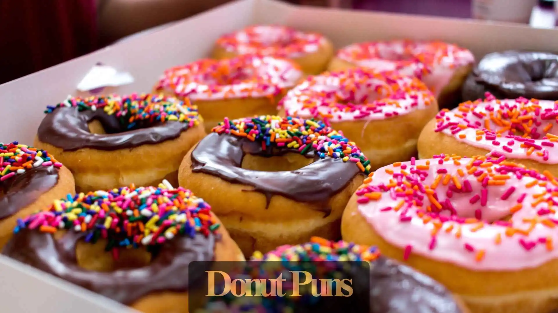 Donut Puns | 339 Filled With Sweet Humor in 2025