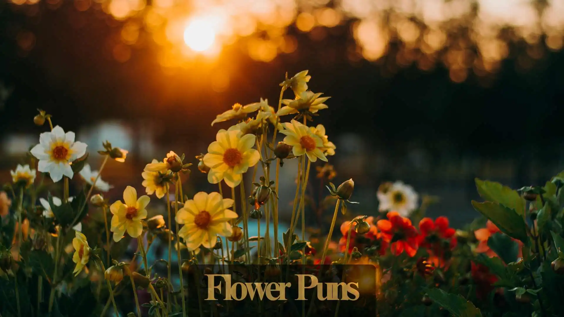 Flower Puns | 327 That’ll Petal Your Funny Bone in 2025