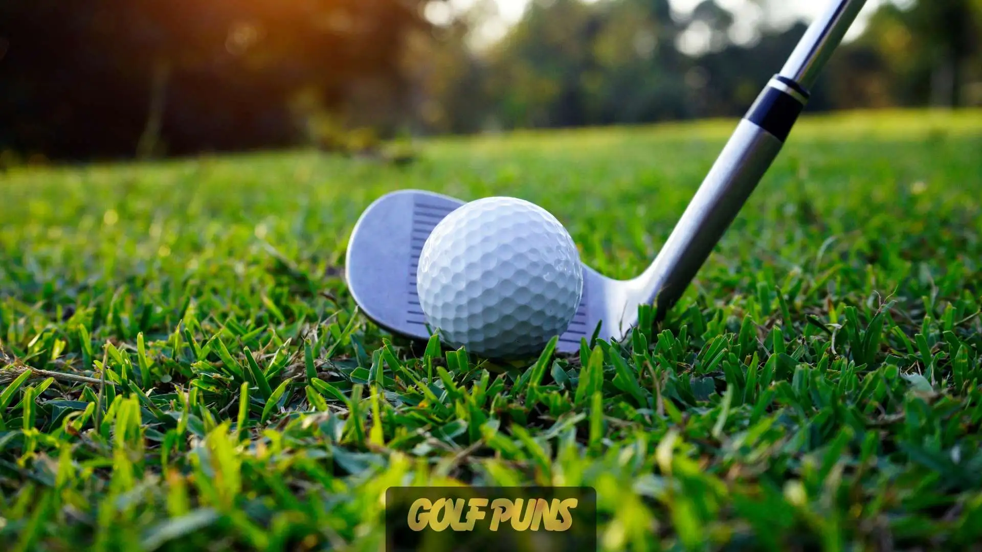 Golf Puns | 327 That’ll Drive You to Laughs in 2025