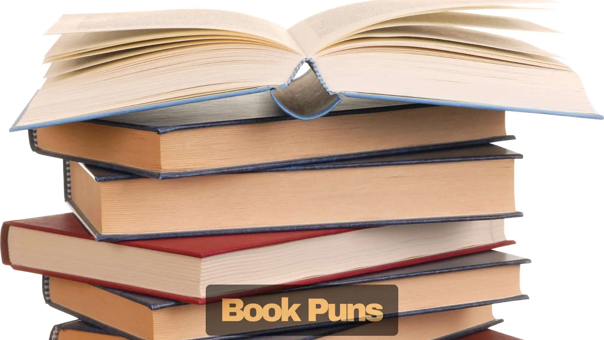 Book Puns | 237 That’ll Make Every Reader Laugh Out Loud In 2025