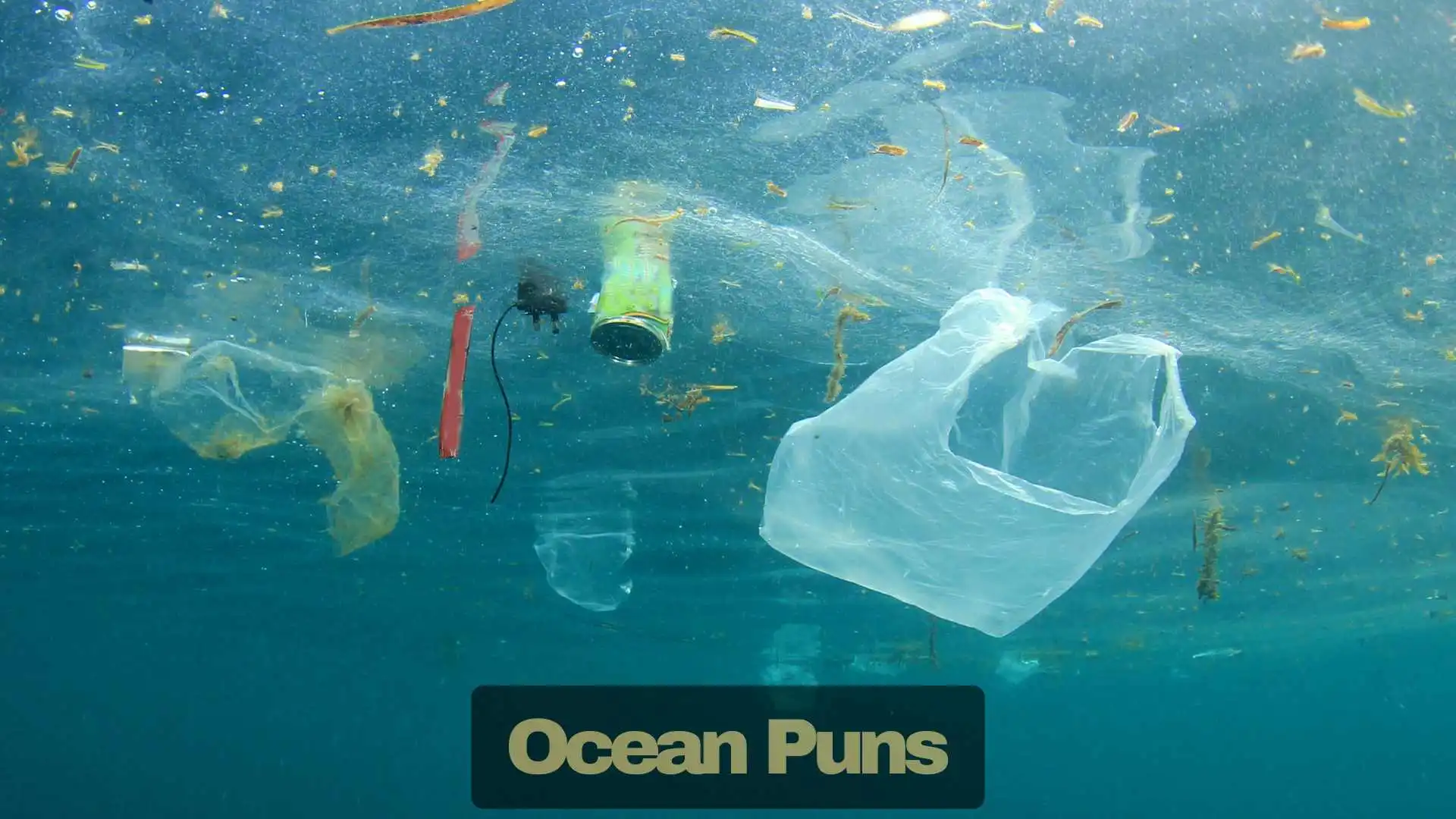 Ocean Puns | 233 That’ll Make You Laugh Waves in 2025