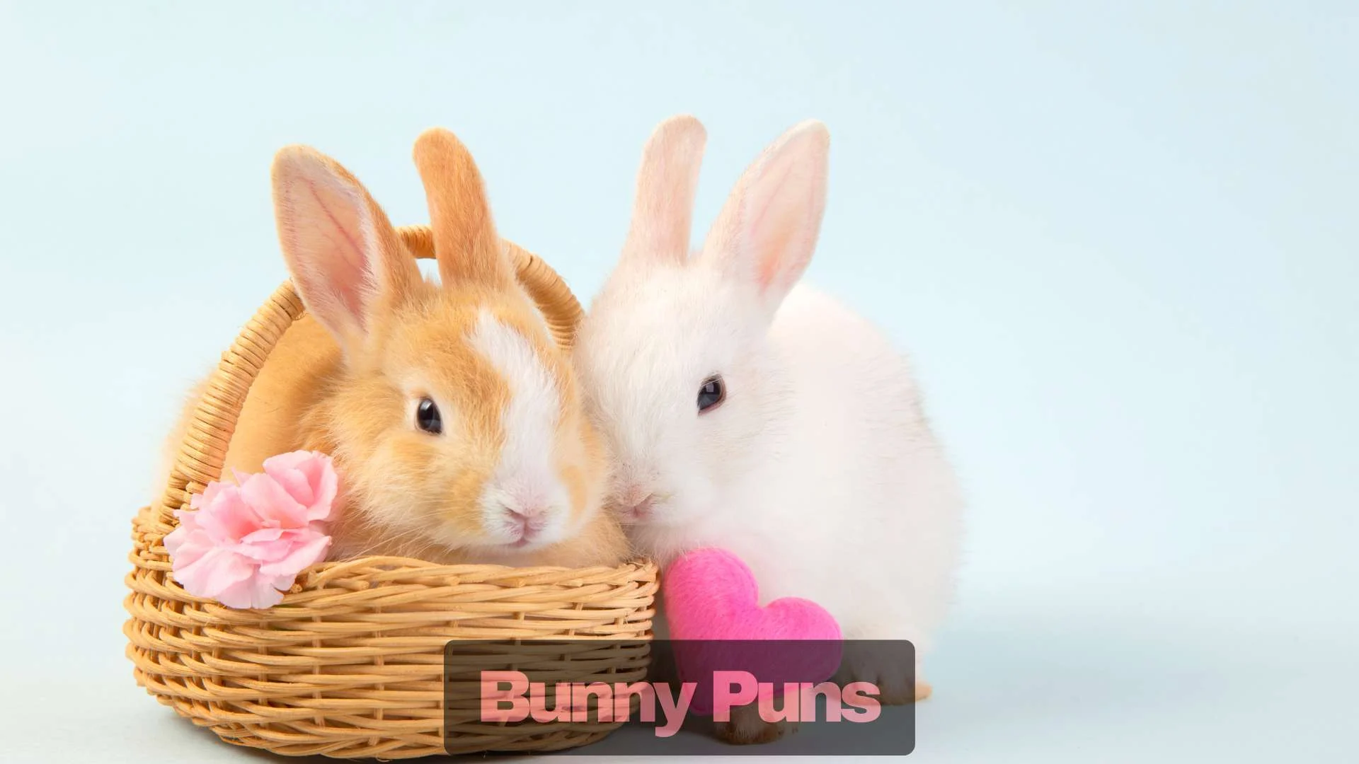 Bunny Puns | 311 That Will Make You Hop With Laughter In 2025