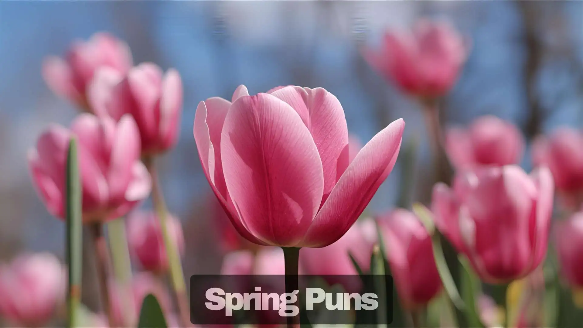 71+ Spring Puns That Will Make Your Days Blossom With Laughter In 2025