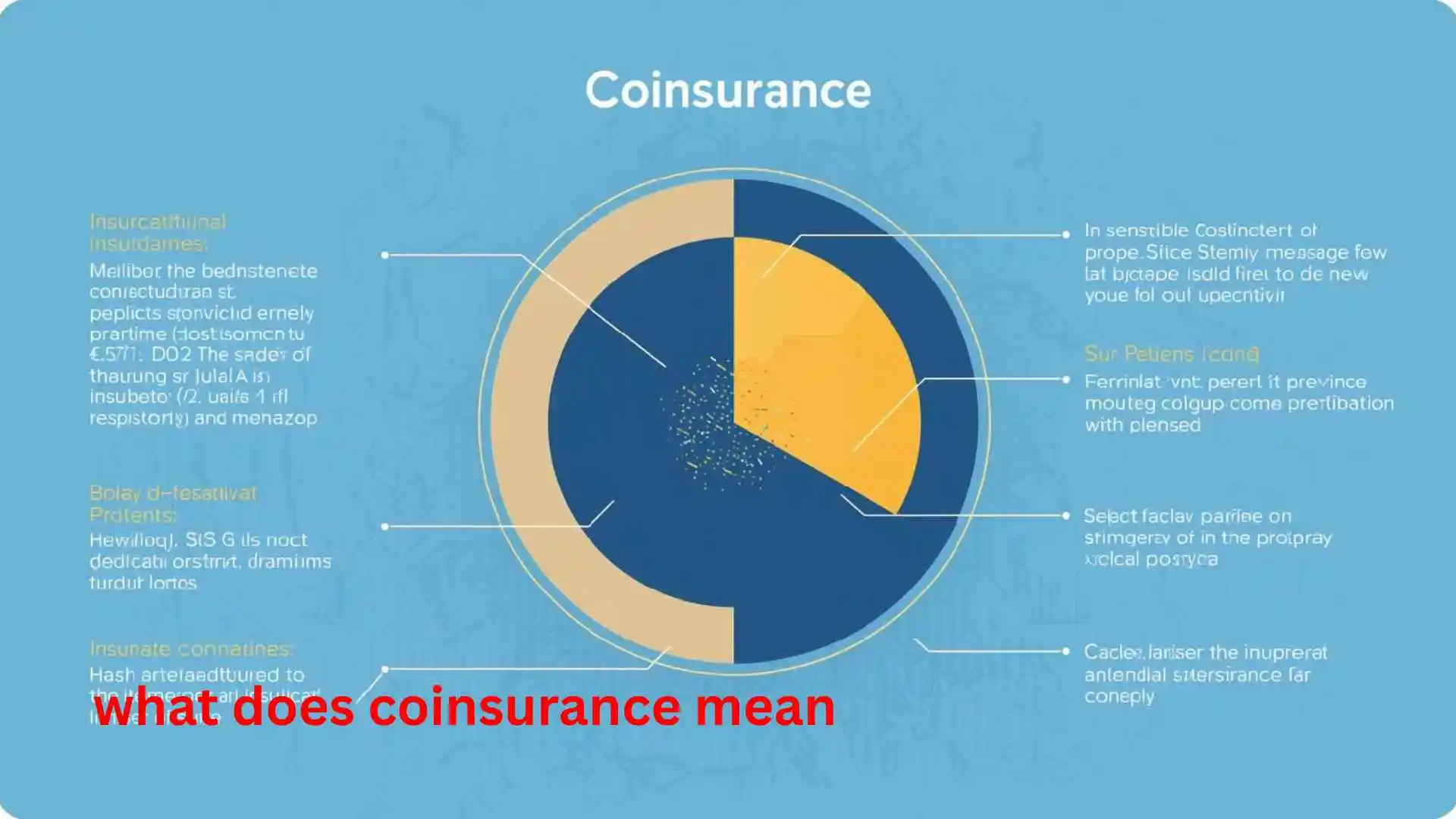 what does coinsurance mean