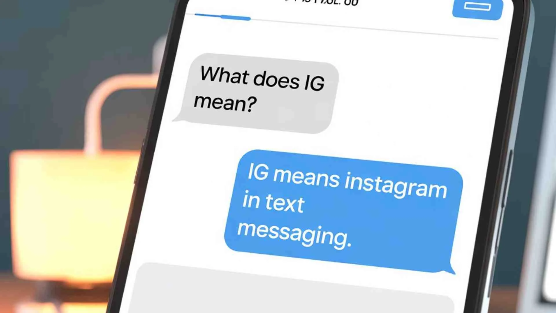 What Does Ig Mean