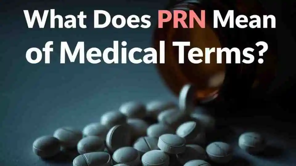 What Does PRN Mean | Slang Medical and Texting Meanings Explained for 2026