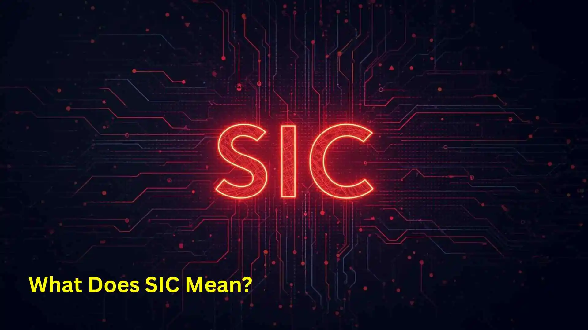 What Does SIC Mean?