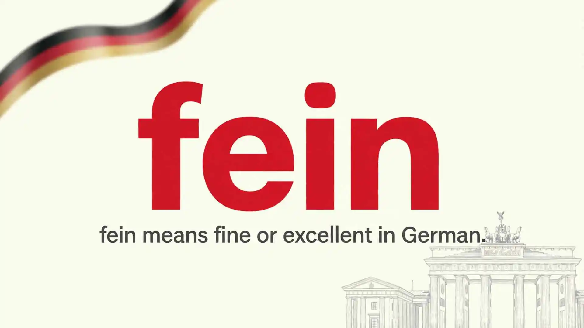What Does Fein Mean? Slang, FE!N Song, FEIN Acronym, and Sinn Féin Explained